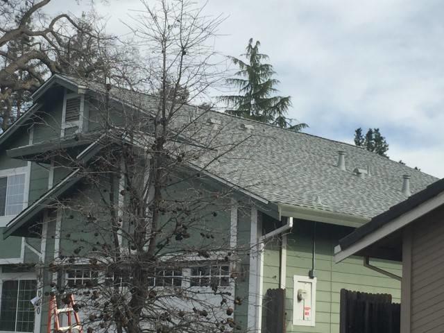 GAF Timberline Ultra HD Birchwood