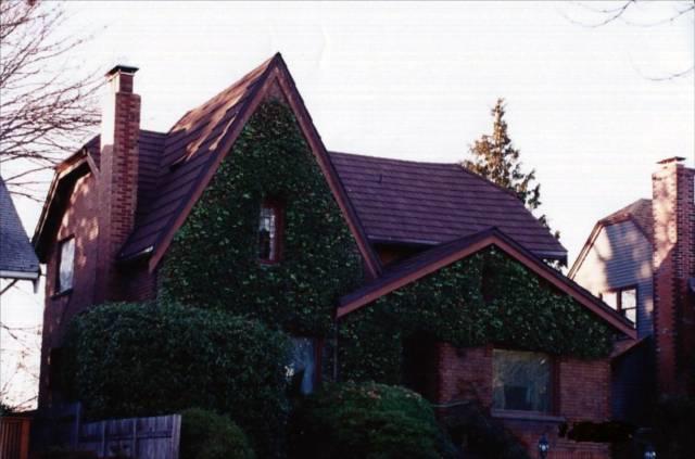 Stone Coated Steel Shake Cedar Shingle Repair